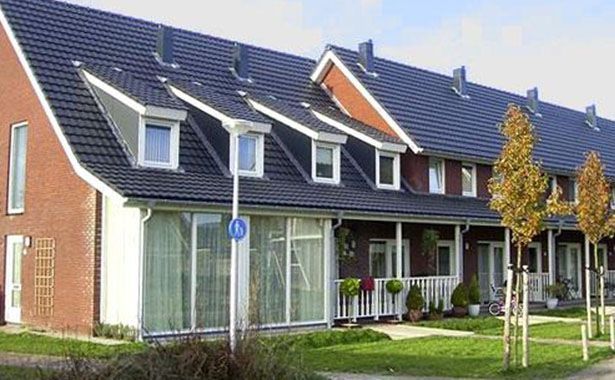Керамическая черепица Roben RHEINLAND altfarben, 420х245 мм — изображение 4